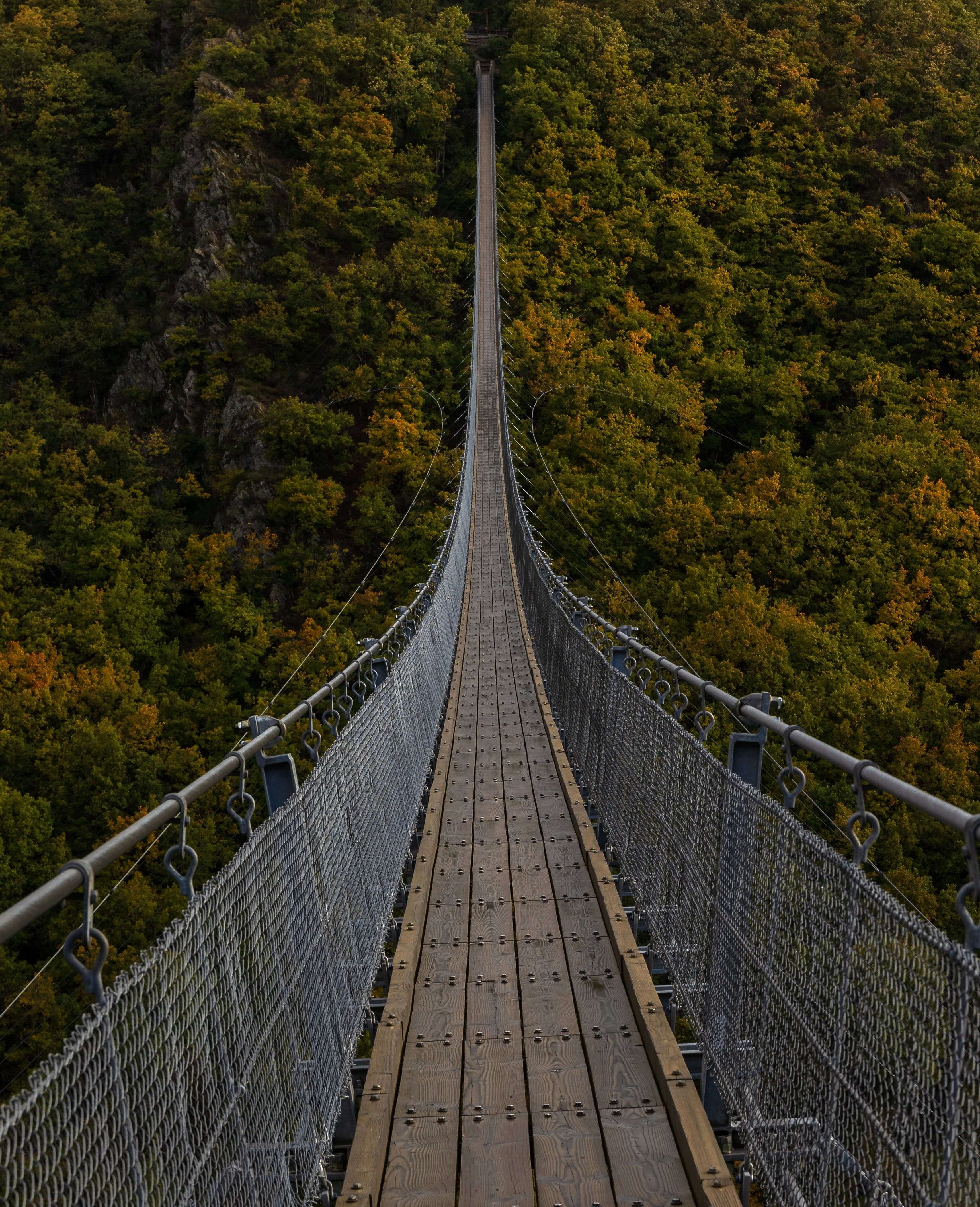 Bridge image