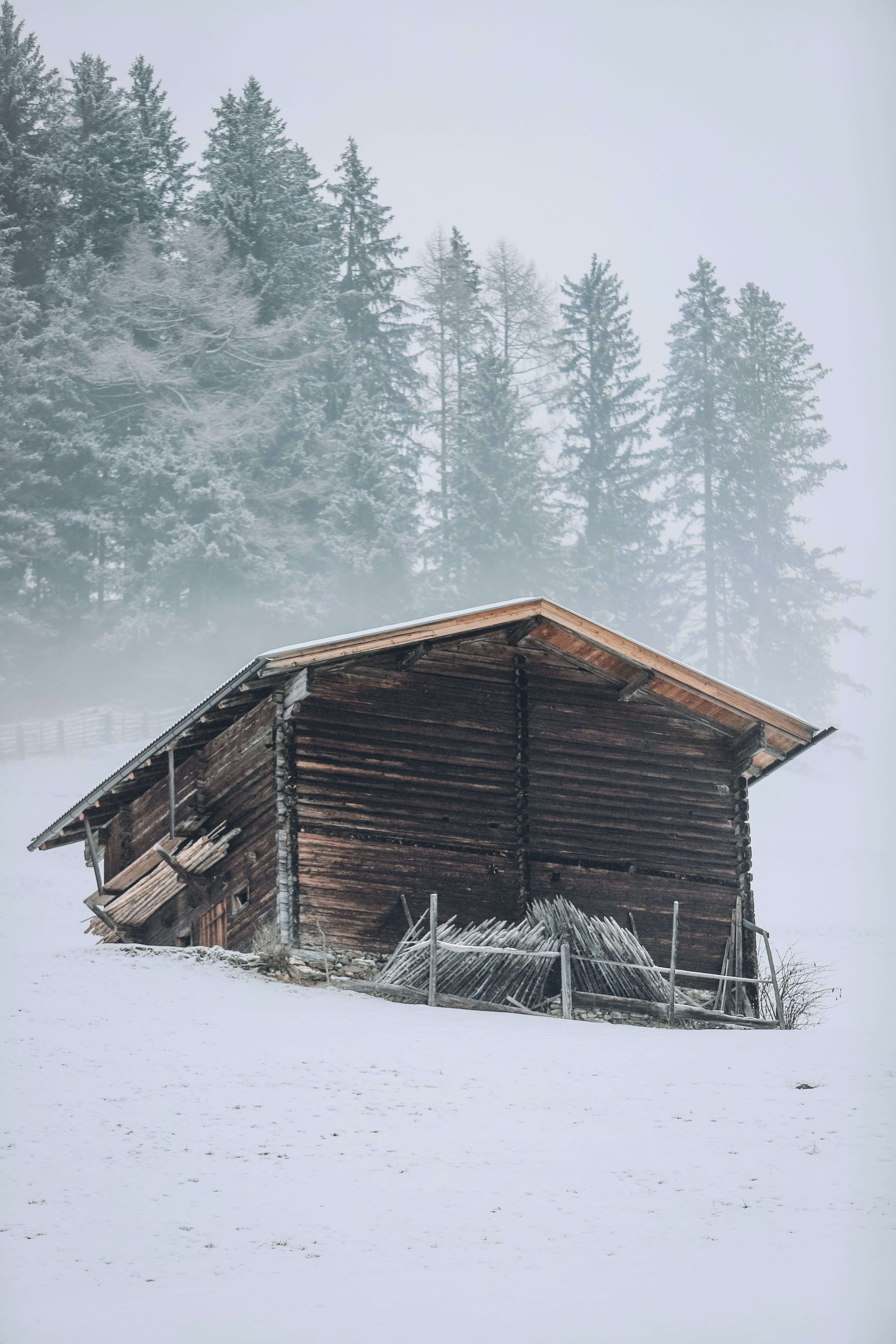 House image